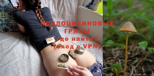 молекула духа Алексеевка