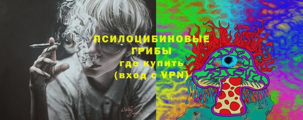 молекула духа Алексеевка