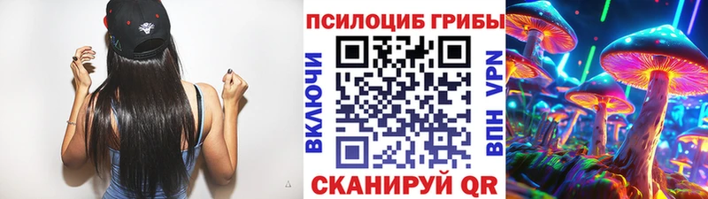 наркошоп  Тюмень  Галлюциногенные грибы Psilocybine cubensis 