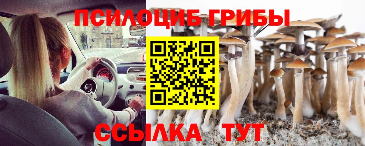 Галлюциногенные грибы Cubensis  Вход с VPN  Тюмень 
