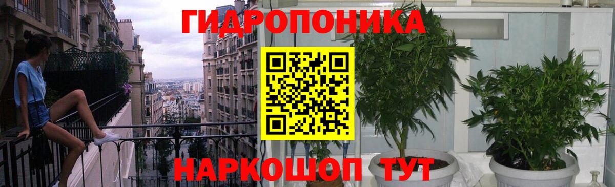 Каннабис сатива Тюмень